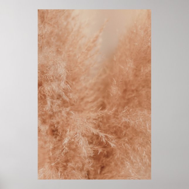 Affiche Arrière - plan Brown (Devant)