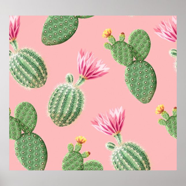 Affiche Arrière - plan de cactus à fleurs roses (Devant)
