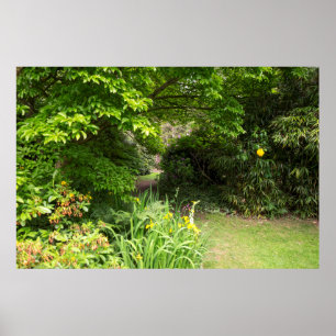 Affiche Arrière - plan de jardin