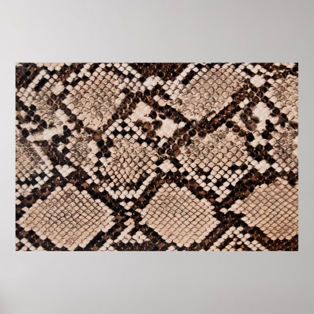 Affiche arrière - plan de la texture de la peau du serpent (Devant)