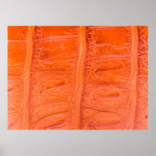 Affiche Arrière - plan de texture de peau du ventre crocod