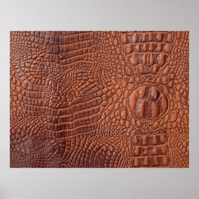 Affiche Arrière-plan de texture en cuir Brown, fond, abstr (Devant)