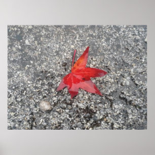 Affiche Arrière - plan de zoom du bureau de la feuille rou