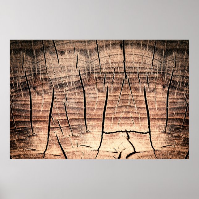 Affiche arrière - plan d'un stumpabstract en bois, âge, vi (Devant)
