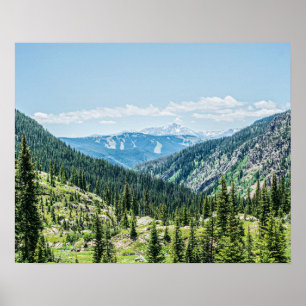 Affiche Arrière - plan Forêt Dense // Ski Resort