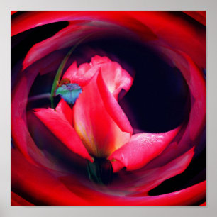 Affiche Art Abstrait rose Rosebud