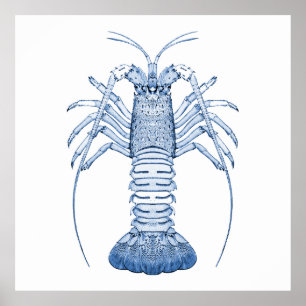 Affiche Art aquatique ~ Homards