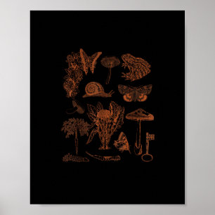 Affiche Art botanique, champignons de grenouille, esthétiq