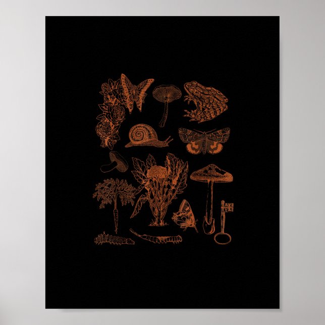Affiche Art botanique, champignons de grenouille, esthétiq (Devant)