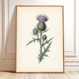 Affiche Art botanique chardon toile Cottagecore