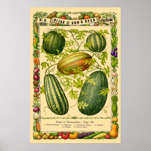 Affiche Art botanique de l'ère victorienne rétro de pastèq