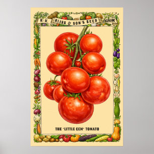Affiche Art Botanique de Tomates à l'Ère Victorienne Rétro