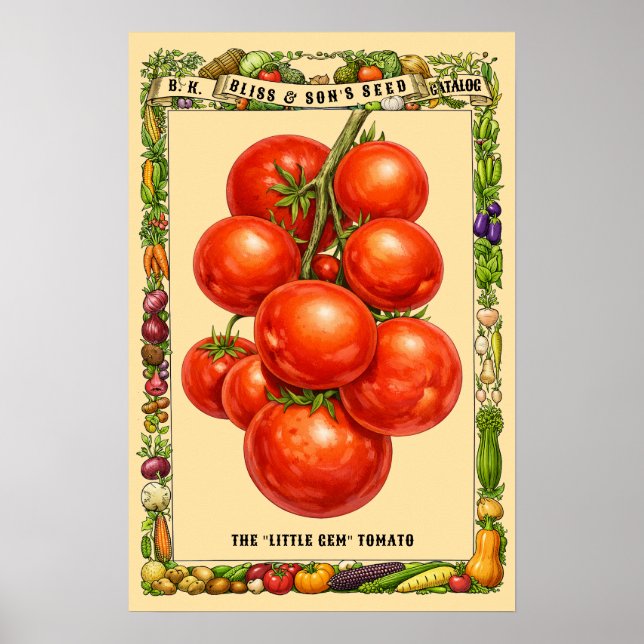 Affiche Art Botanique de Tomates à l'Ère Victorienne Rétro (Devant)