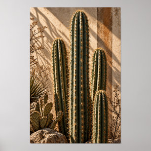 Affiche Art botanique mural de cactus du désert doré