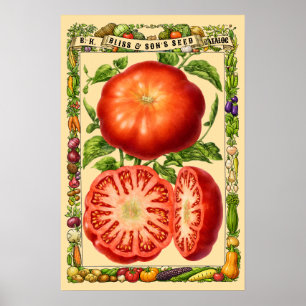 Affiche Art botanique rétro de l'ère victorienne de la tom