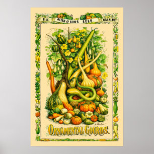 Affiche Art botanique rétro de l'ère victorienne des gourd