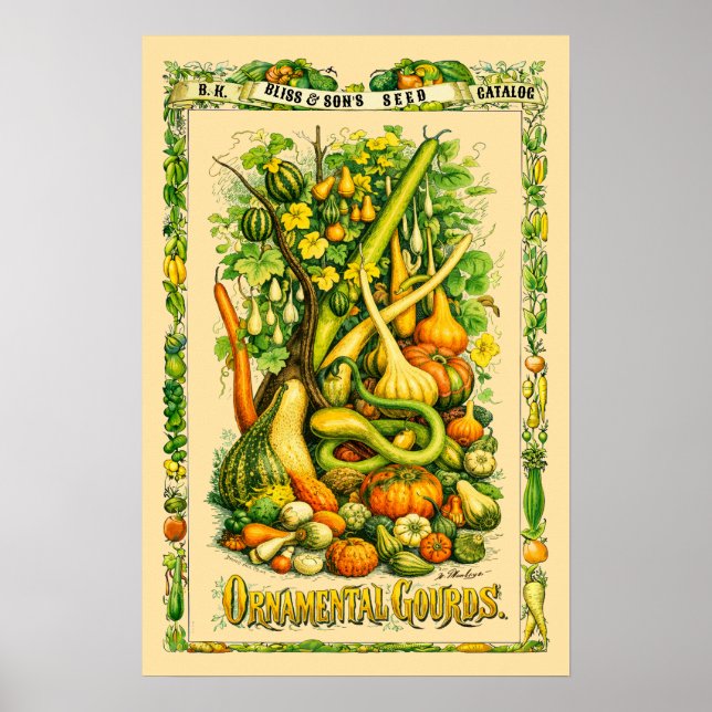 Affiche Art botanique rétro de l'ère victorienne des gourd (Devant)