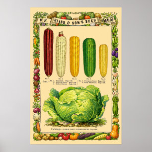 Affiche Art botanique rétro de l'ère victorienne sur le ma