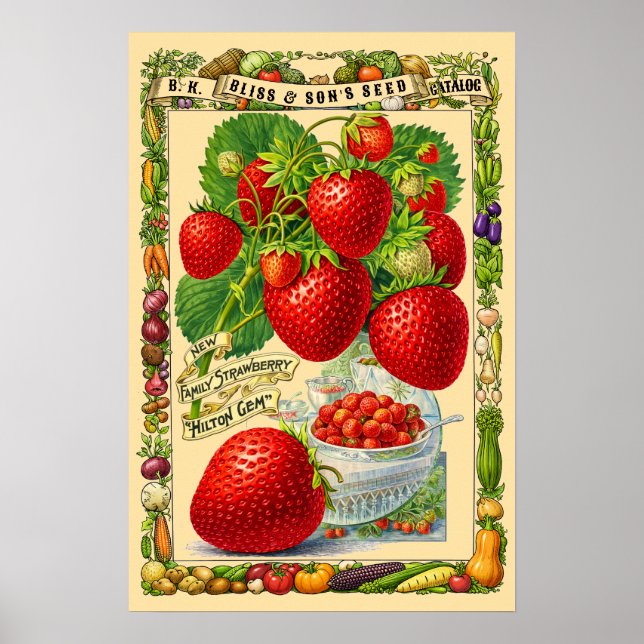 Affiche Art botanique rétro de l'ère victorienne sur les f (Devant)