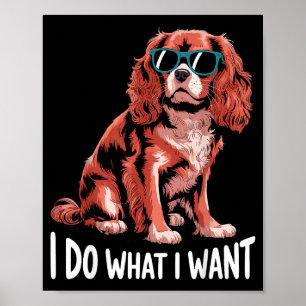 Affiche Art Cavalier King Charles pour hommes femmes Caval