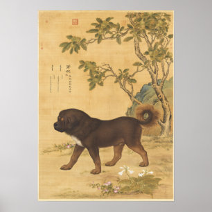 Affiche Art chinois impérial du Mastiff tibétain vintage