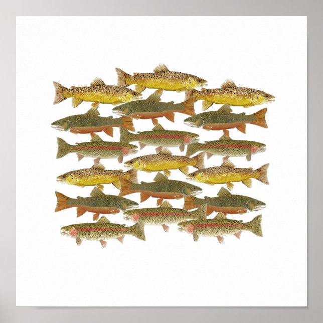 Affiche Art commun de la truite (Devant)