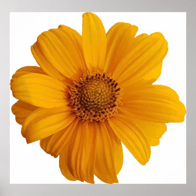 Affiche Art d'annotation (Devant)