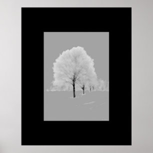 Affiche Art d'arbres - emmêlés, noir et blanc de mur