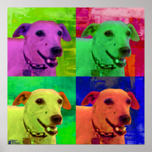 Affiche Art de bruit de Jack Russel Terrier