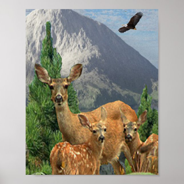 Affiche Art de cerf (Devant)