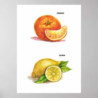 Affiche Art de cuisine