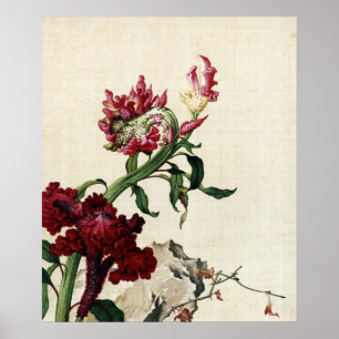 Affiche Art de fleur de crête de coq rouge Chinoiserie vin