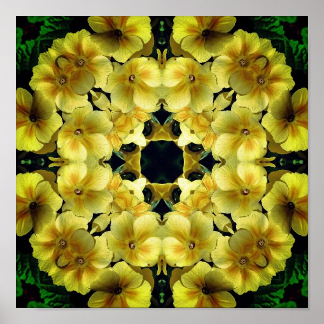 Affiche Art de fleur de primevère jaune  (Devant)
