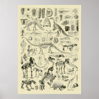 Art de fossiles d'os de dinosaures vintage