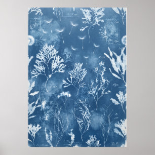 Affiche Art de journal botanique de cyanotype bleu d'algue