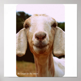 Affiche Art de la chèvre