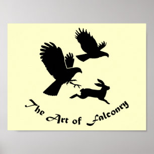 Affiche Art de la Fauconnerie - Harris Hawks