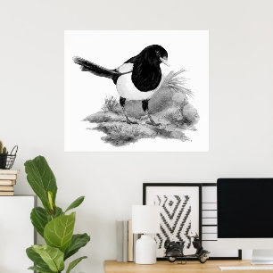 Affiche Art de la nature de l'oiseau curieux pie à l'aquar