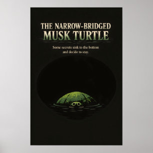 Affiche Art de la Tortue Musquée à Pont Étroit