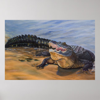 Affiche Art de l'alligator. Face à face