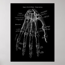 Art de l'anatomie des os humains