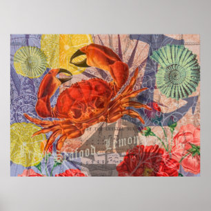 Affiche Art de mer de plage nautique de crabe