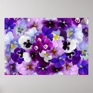 Affiche Art de papier peint de fleur de pensée