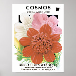 Affiche Art de pochette de graines vintage, fleurs de jard