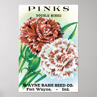 Affiche Art de pochette de graines vintage, fleurs d'œille
