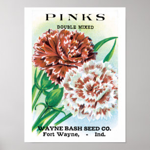 Affiche Art de pochette de graines vintage, fleurs d'œille
