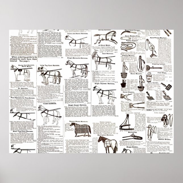 Affiche Art de publicité antique de cheval de journal (Devant)