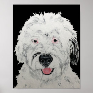 Affiche Art de Sheepadoodle