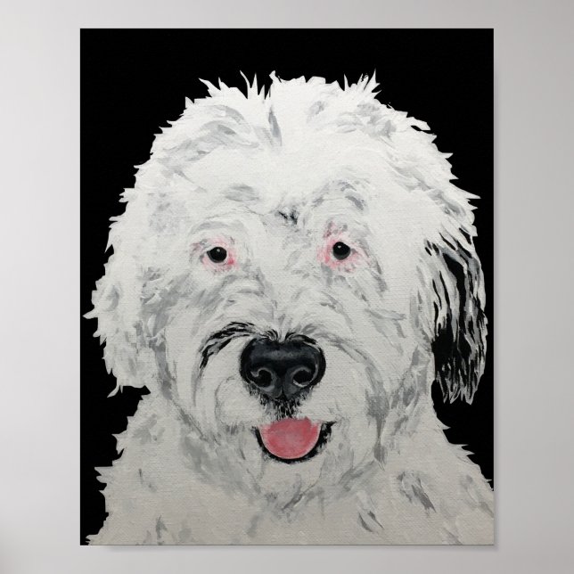 Affiche Art de Sheepadoodle (Devant)