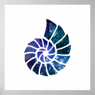 Affiche Art de silhouette d'ammonite
